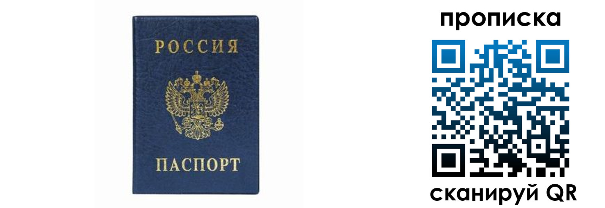 временная регистрация поиск в Электростали